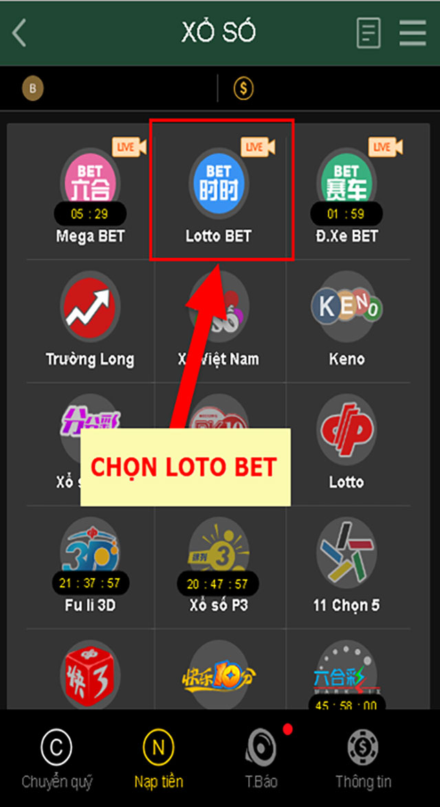 hướng dẫn chơi lotto bet cách chọn
